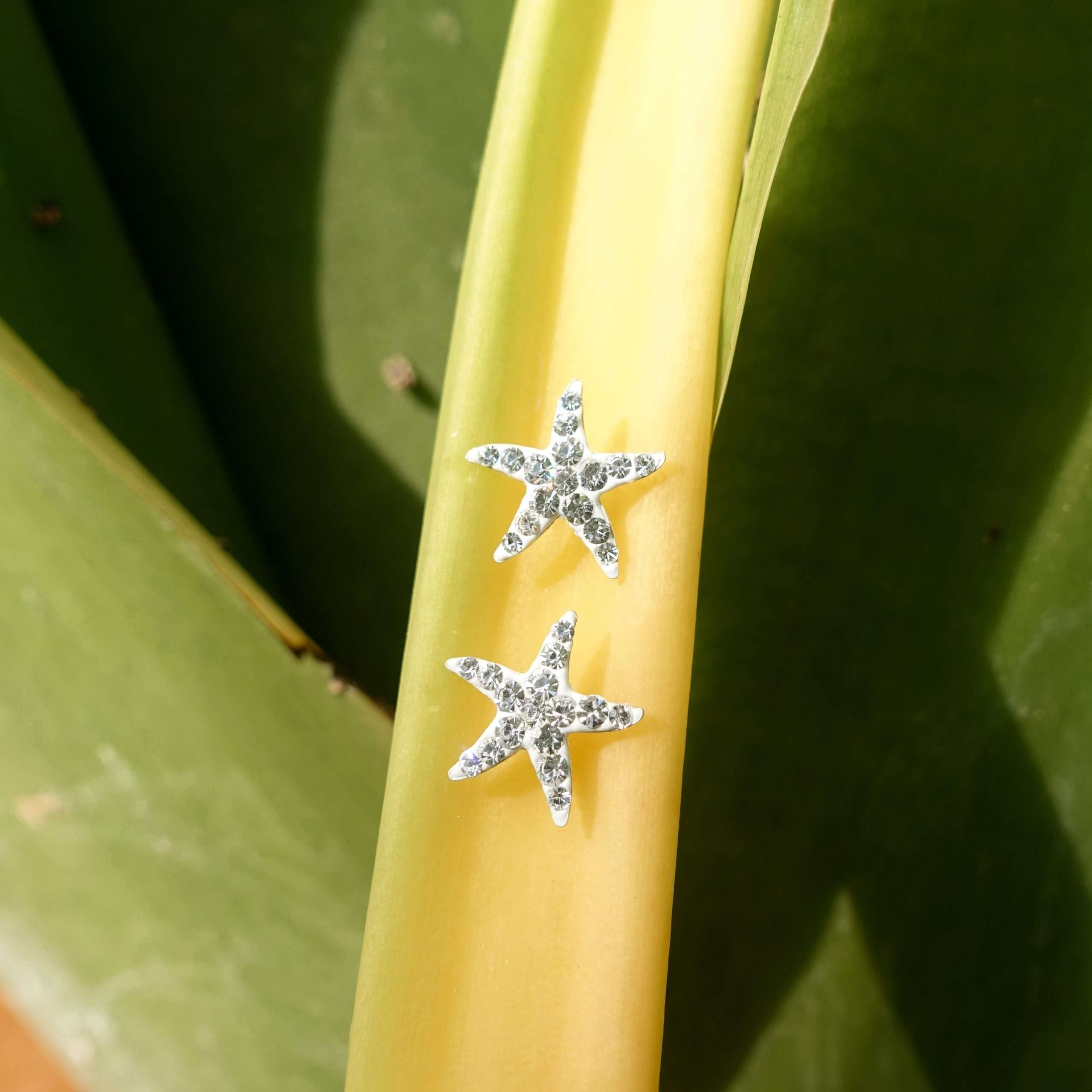 23219<br>stud clear crystal starfish - Image 3