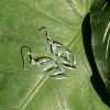 23756<br>earring double swirl - Thumbnail Image 3