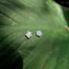 26634<br>ear stud crystal 5 petal flower - Thumbnail Image 2