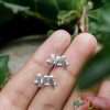 Close-Out-26621<br>ear stud 3 birds on a wire - Thumbnail Image 3
