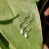 26185<br>earring infinity w/freshwater pearl - Thumbnail Image 3