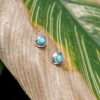 Luna Earstud Larimar - 82418 - Thumbnail Image 2