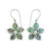 Luna Earring Abalone - 82818-AB - Thumbnail Image 1