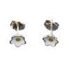 23146 <br> RP ear stud enamel flower 3 pairs - white, pink, blue - Thumbnail Image 5
