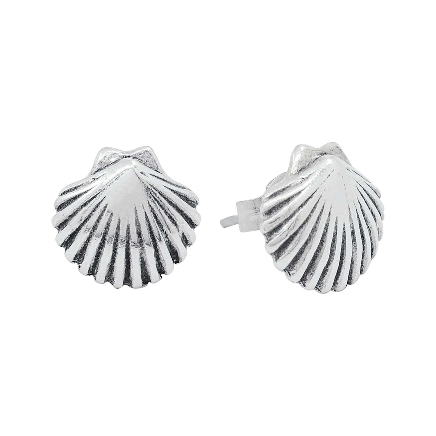 26229<br>ear stud sea shell - Image 1