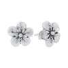 26400<br>ear stud 5 petal flower - Thumbnail Image 1