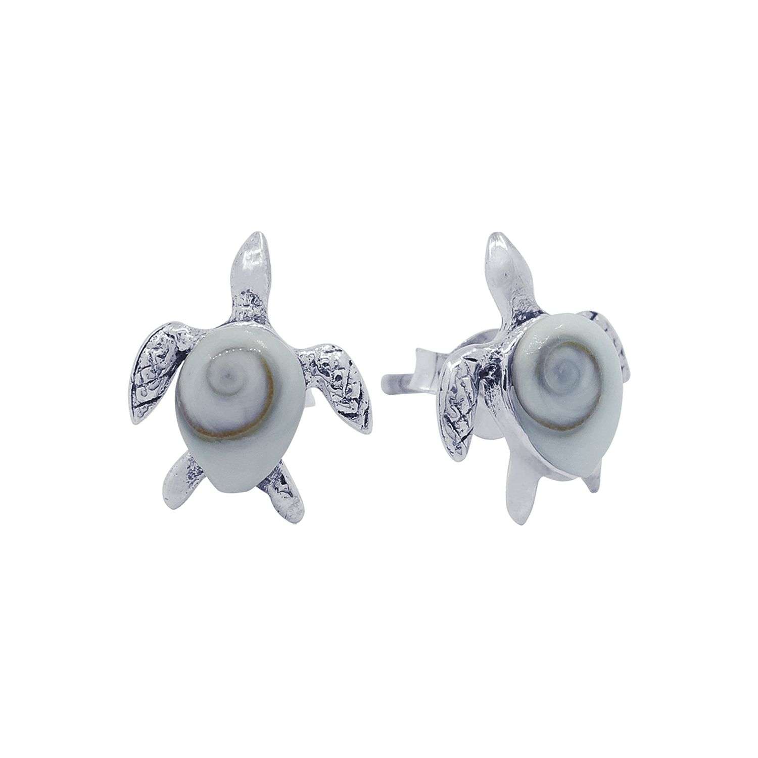 26605<br>ear stud Shiva shell turtle - Image 1