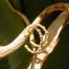 Close-Out-92223 <br> earring 30mm CZ hoop .925 Gold Plated - Thumbnail Image 2