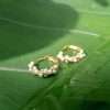 92237 <br> earring twisted pearl huggie .925 goldplated - Thumbnail Image 4