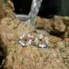 Close-Out-92250 <br> ear stud open wreath w/ pastel CZ's .925 goldplated - Thumbnail Image 3