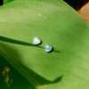 23597 <br> ear stud faceted blue opal heart - Thumbnail Image 2