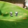 23167 <br> ear stud kitten - Thumbnail Image 2