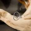 Close-Out-10910 <br> ring circle *6-8 - Thumbnail Image 2