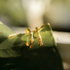 92277<br>huggie bamboo .925 GP - Thumbnail Image 4