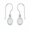 Fashion 82705-SP<br>LUNA FASHION earring double bezel w/ leverback oval 5x7mm - SILVER PLATED over brass - Thumbnail Image 7